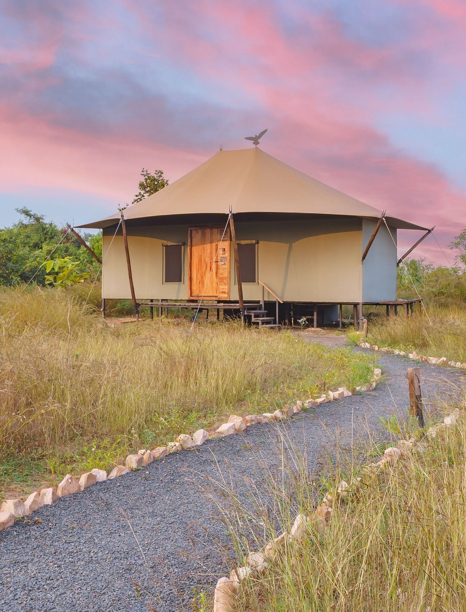 A hut shaped tent in the middle of a jungle at Trees N Tigers, Tadoba.