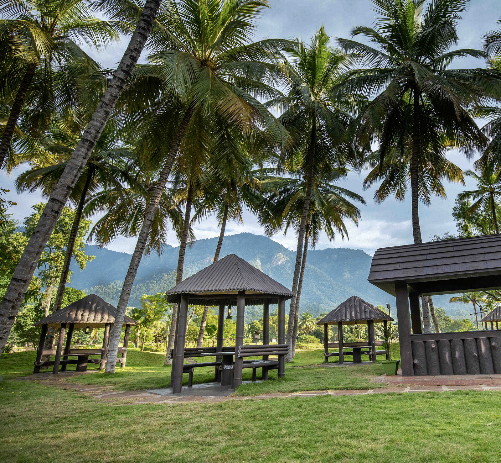 A sprawling green lawn at Avana Resort with multiple open-sided gazebos and tall palm trees, mountains visible in the distance.