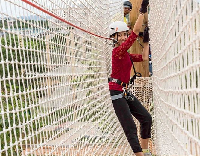 net-course