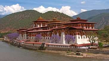 Punakha Dzong dragon nest hotel punakha