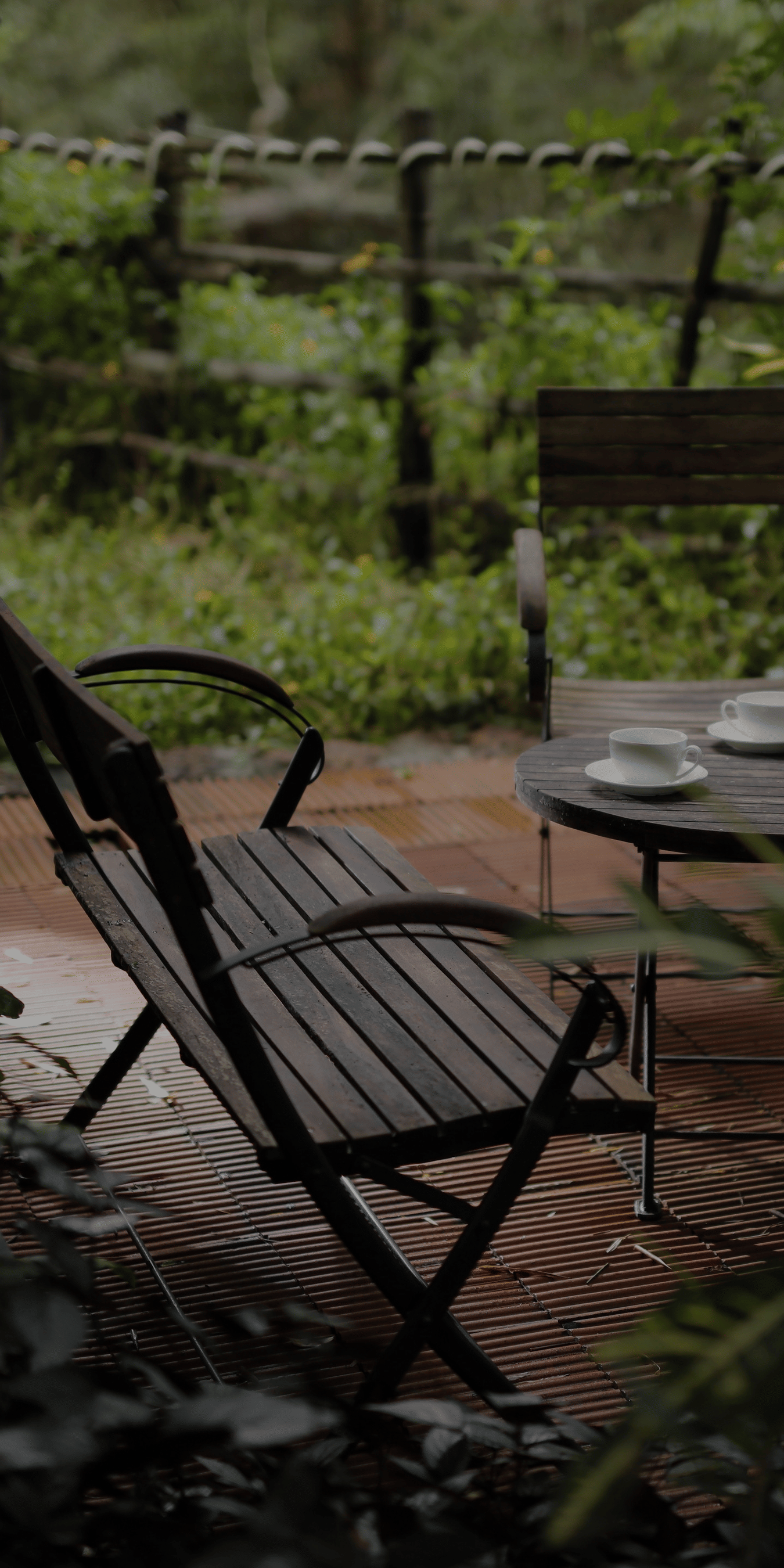 Exterior decor with plants and foliage a pretty calm place with table and  chairs and tw cups of tea on the table at Amanvana Resort And Spa  Resorts in Coorg