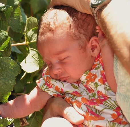 A baby with eyes closed, beside grape wine.