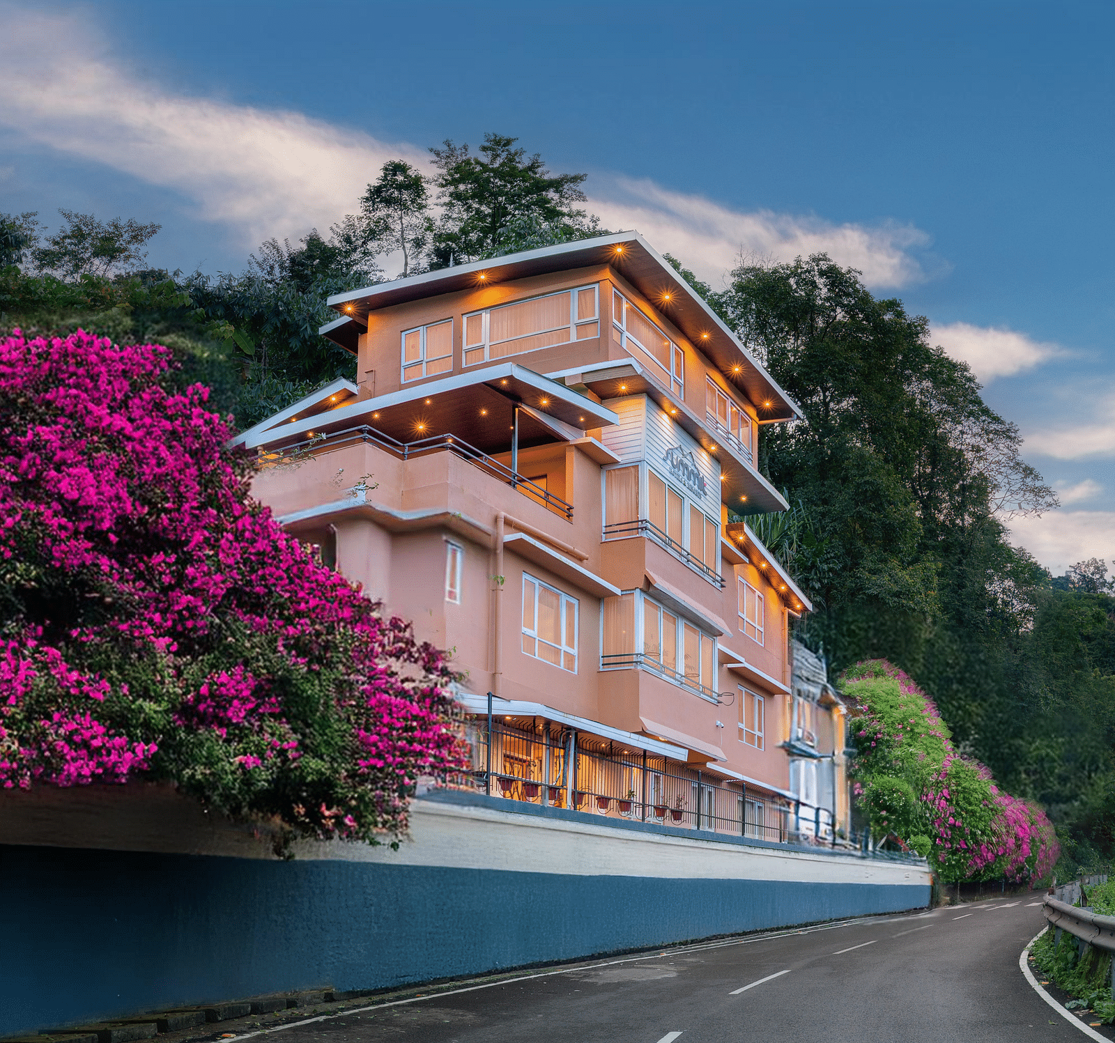 BOUGAINVILLEA