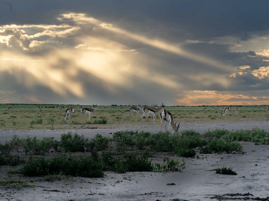 SUNRISE AT THE PAN