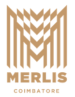 tG Merlis Identity Logo 20250219.ai (1)