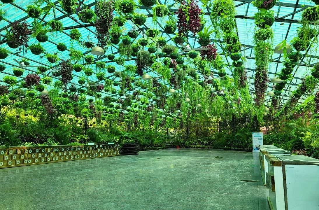 Greenhouse