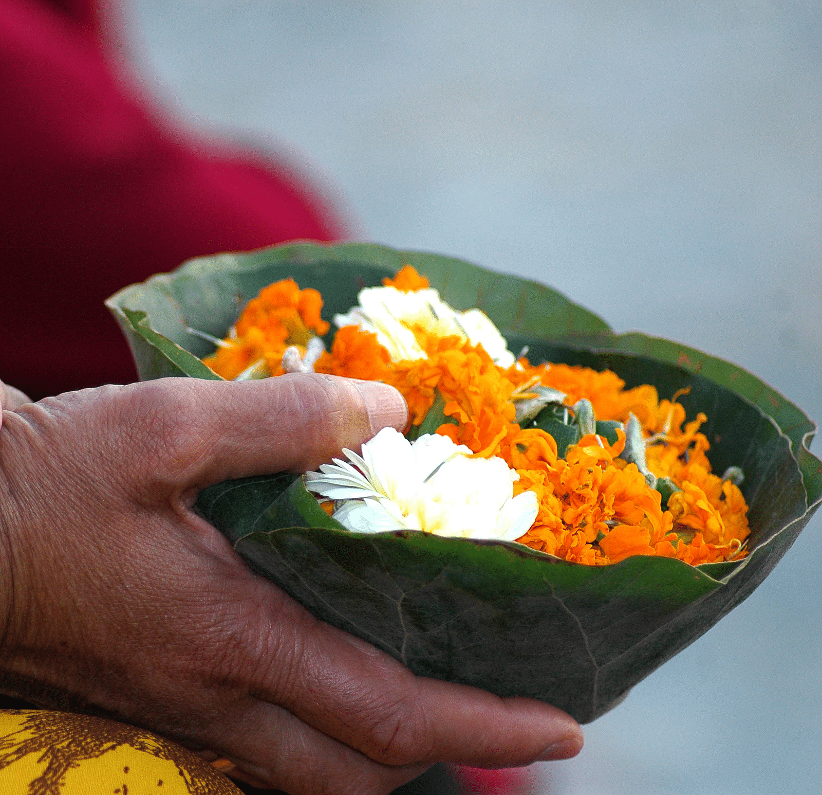 A picture of Haridwar flower Offerings