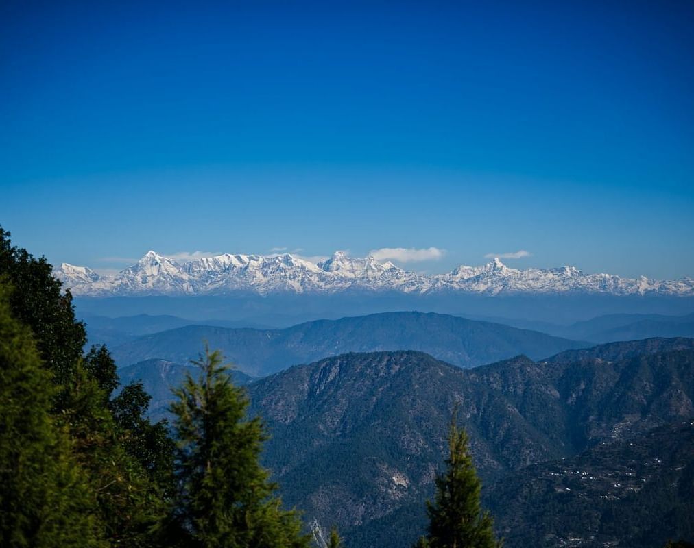 Himalayan View