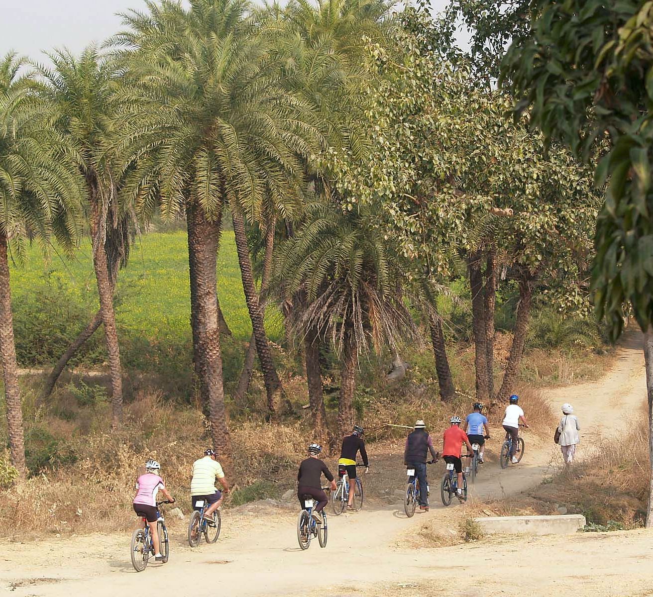 A group of kids cycling trough a pathway with trees on both sides- Shahpura Bagh.