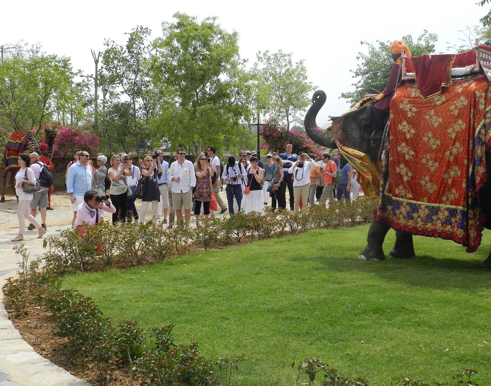 Guests gather outdoors for a royal welcome, with a traditionally decorated elephant - Khas Bagh, Jaipur.