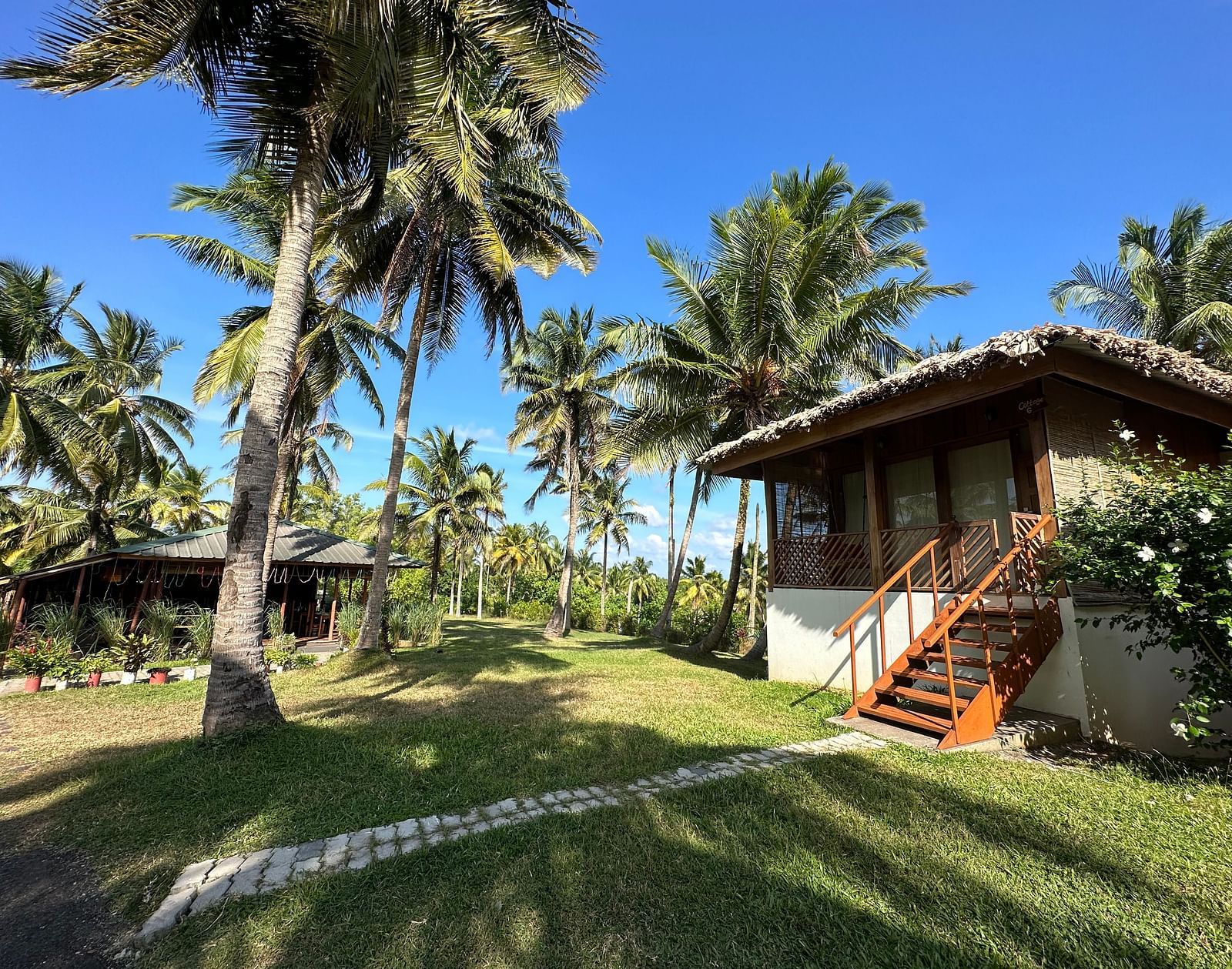 A charming resort building with a thatched roof, surrounded by lush green grass and palm trees under a bright sky.