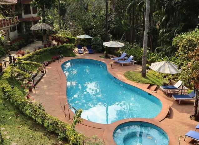 Swimming pool in a curved shape and sun loungers, surrounded by lush greenery - BluSalzz Collection - Tranquil Resort, Wayanad