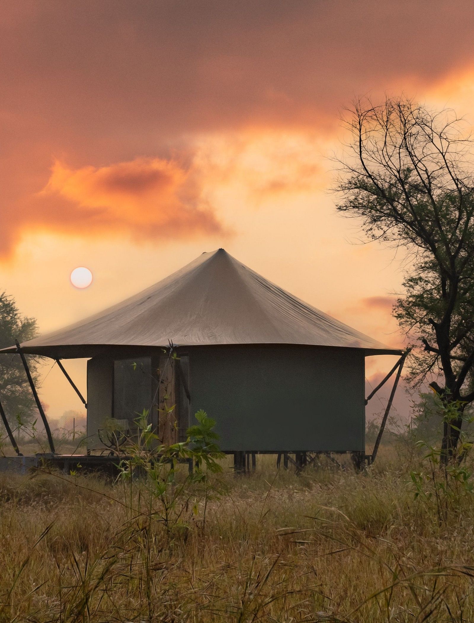 View of a hut during dusk amongst greenery at Trees N Tigers, Tadoba.