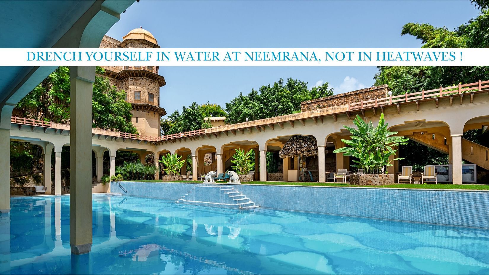 Website Cover