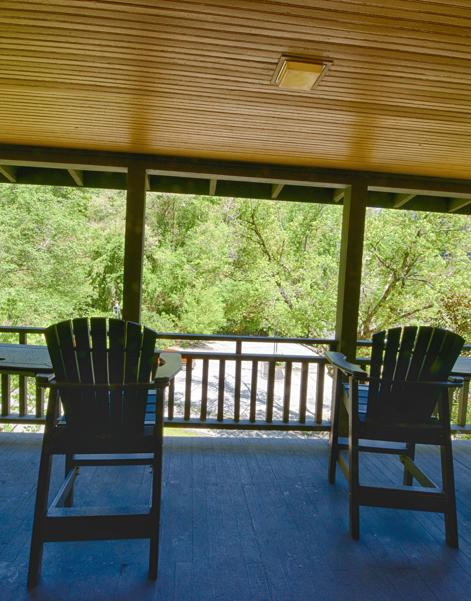 a porch featuring four chairs overlooking towards the lush green wildernessfull view image of a bedroom with wooden interiors featuring two beds - Historic Tapoco Lodge