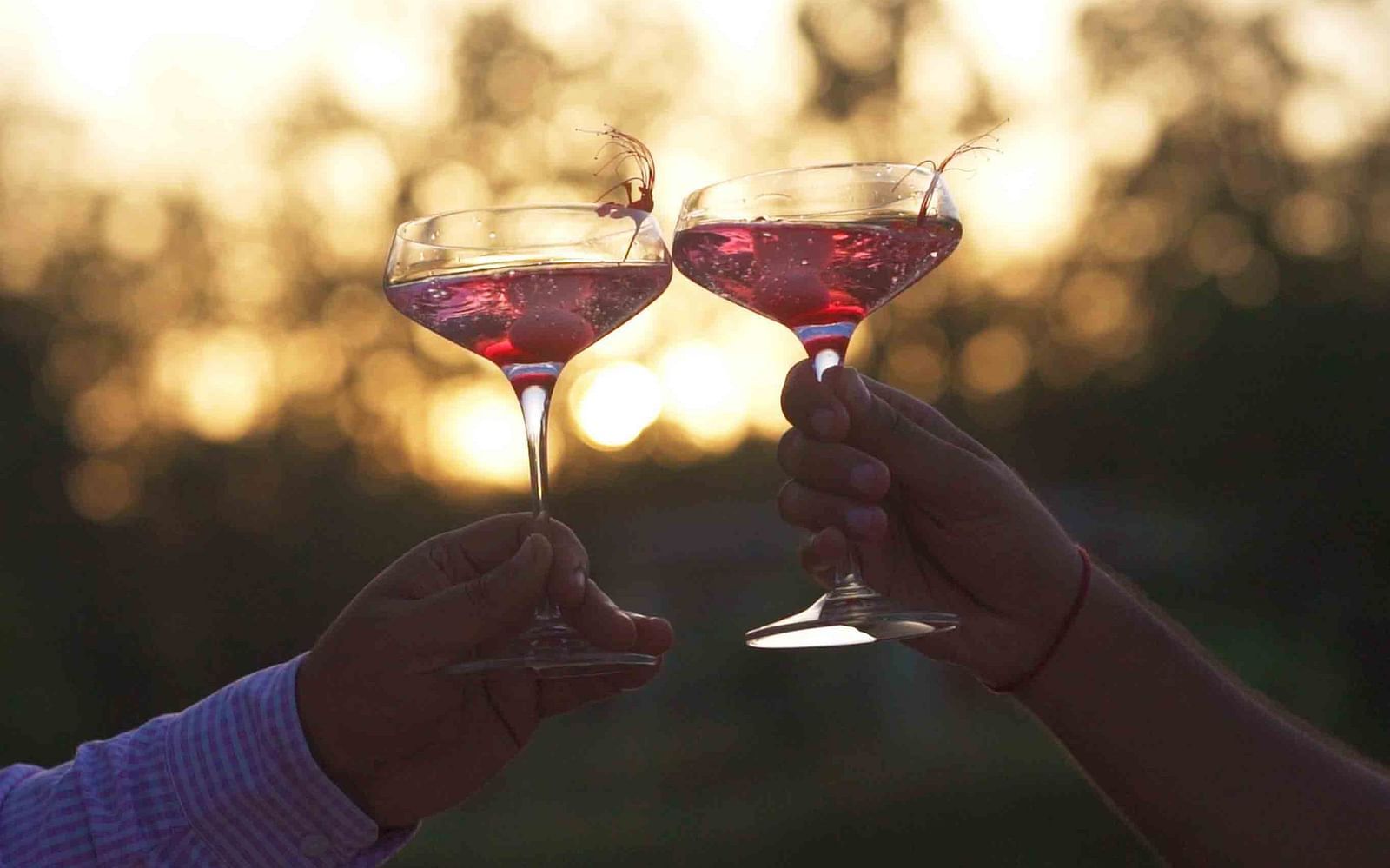 two people clinking their glasses at Saraca Corbett