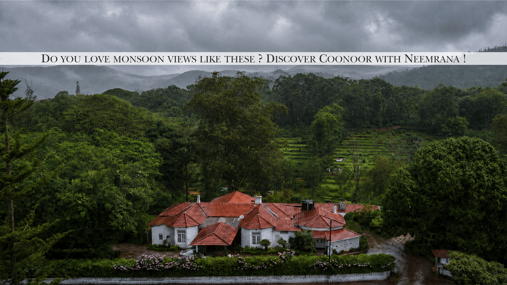 Website Cover