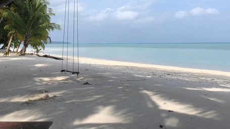A wide angle shot of the Vijay Nagar Beach with a swing hanging from a tree.