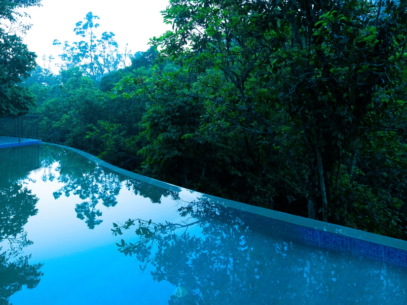 An infinity pool reflecting the surrounding trees and sky - Abad Brookside Lakkidi, Wayanad