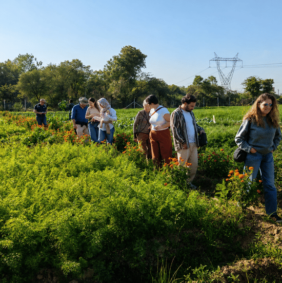Guests Strolling Through a Flower Farm and Kitchen Garden-Resorts Near Delhi NCR-Coprporate Offsite -Retreats