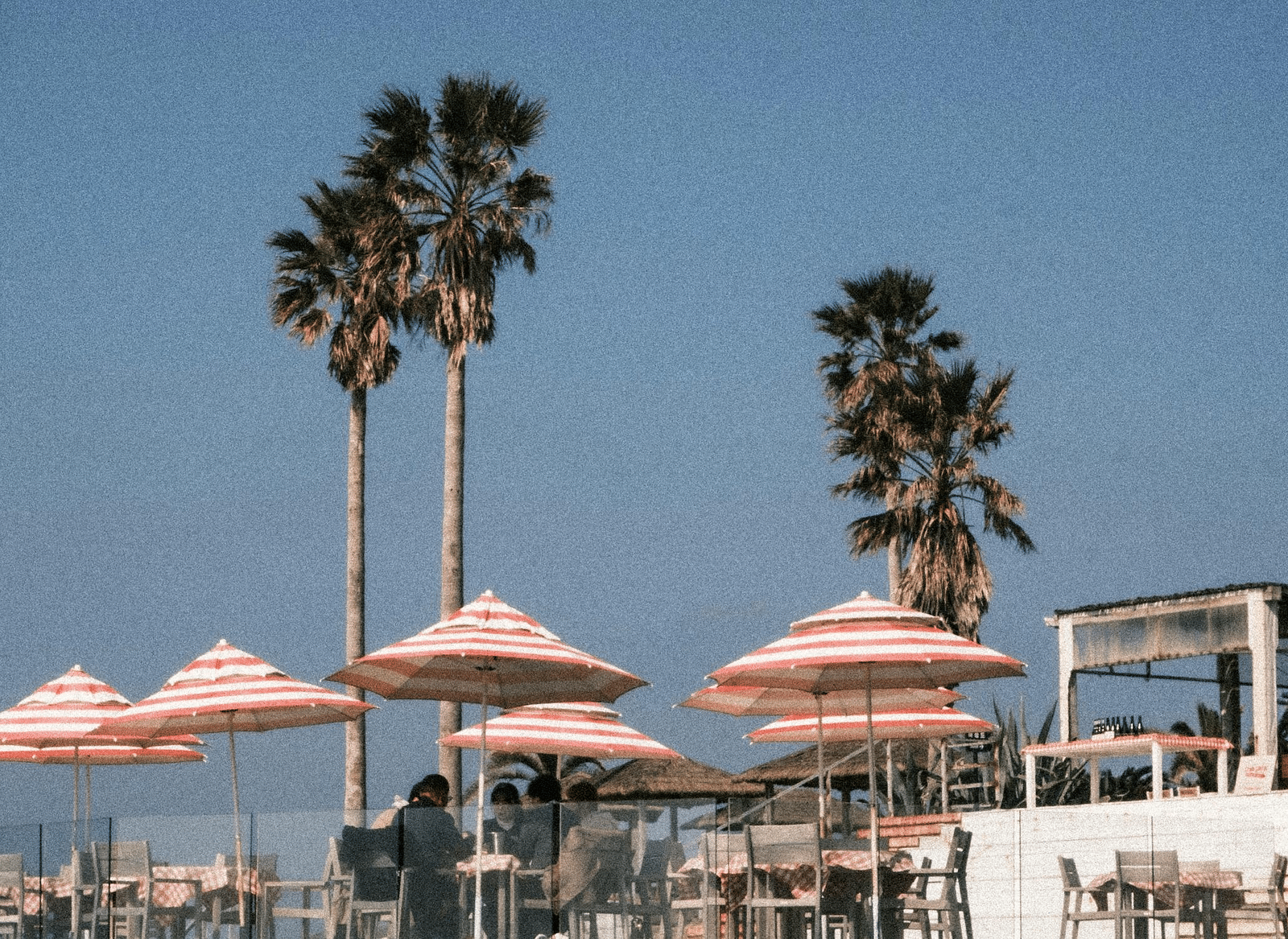  A relaxing beach side setting with pink sun umbrellas, tall palm trees, and a clear blue sky