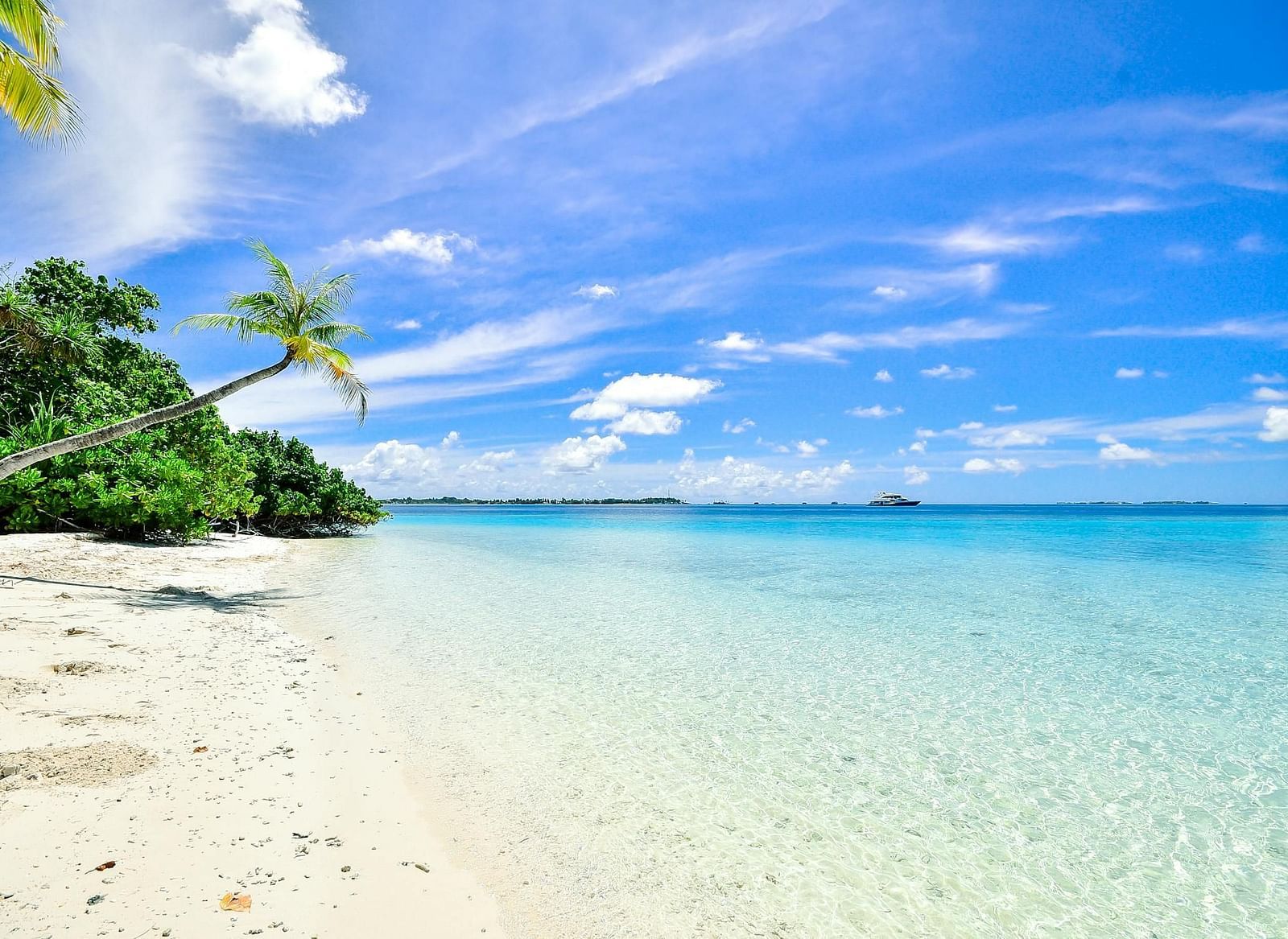 A stunning beach with soft white sand, turquoise waters, and lush green palm trees under a bright blue sky.
