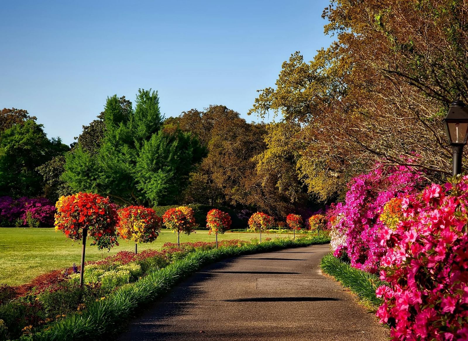 A scenic landscape of a garden with clear sky in the background. 