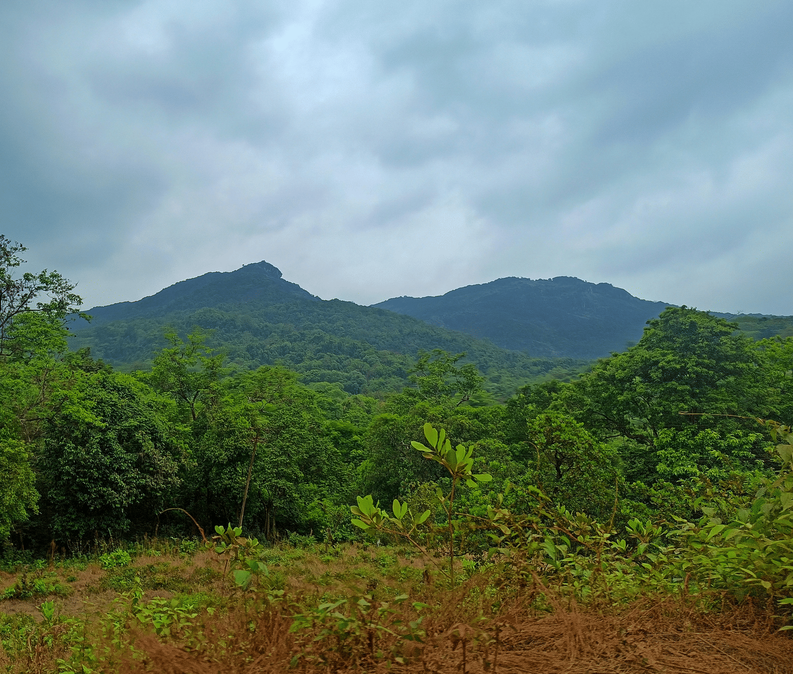 A view of the mountain ranges in the Aravali hills with a patch of greenery in the foreground.