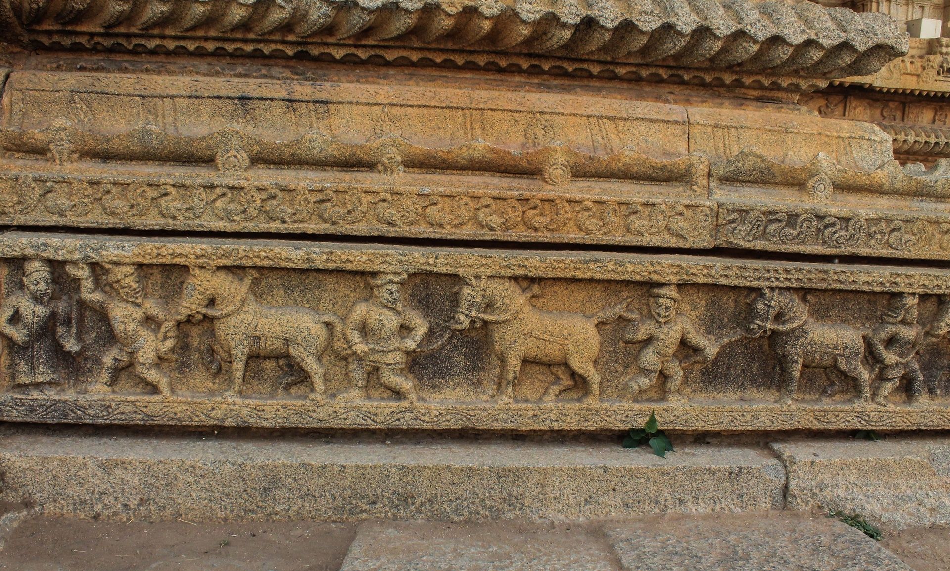 Hampi stone carvings of horse traders on a temple wall.