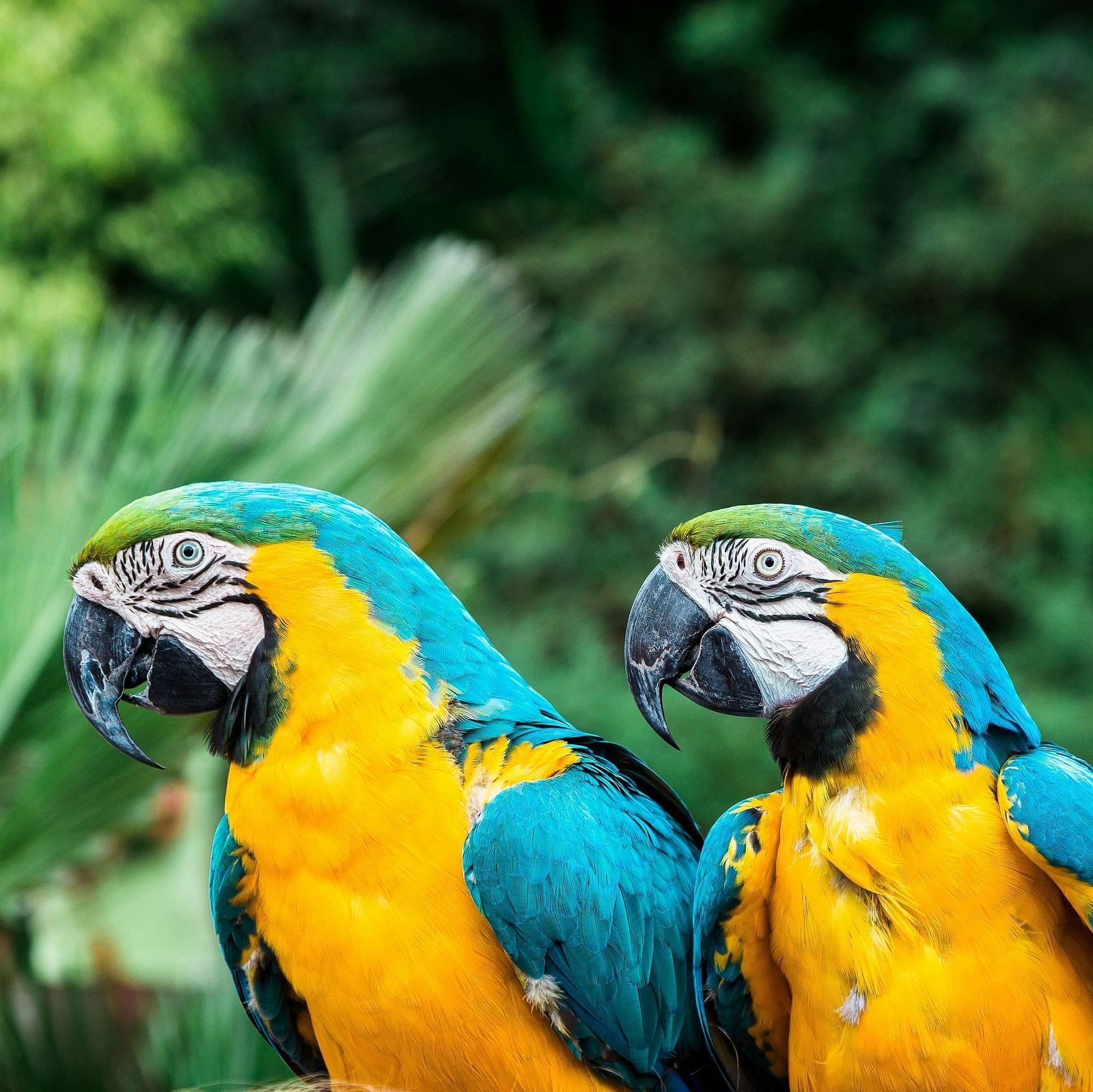 bruno-martins-BYY rYlZOkI-unsplash