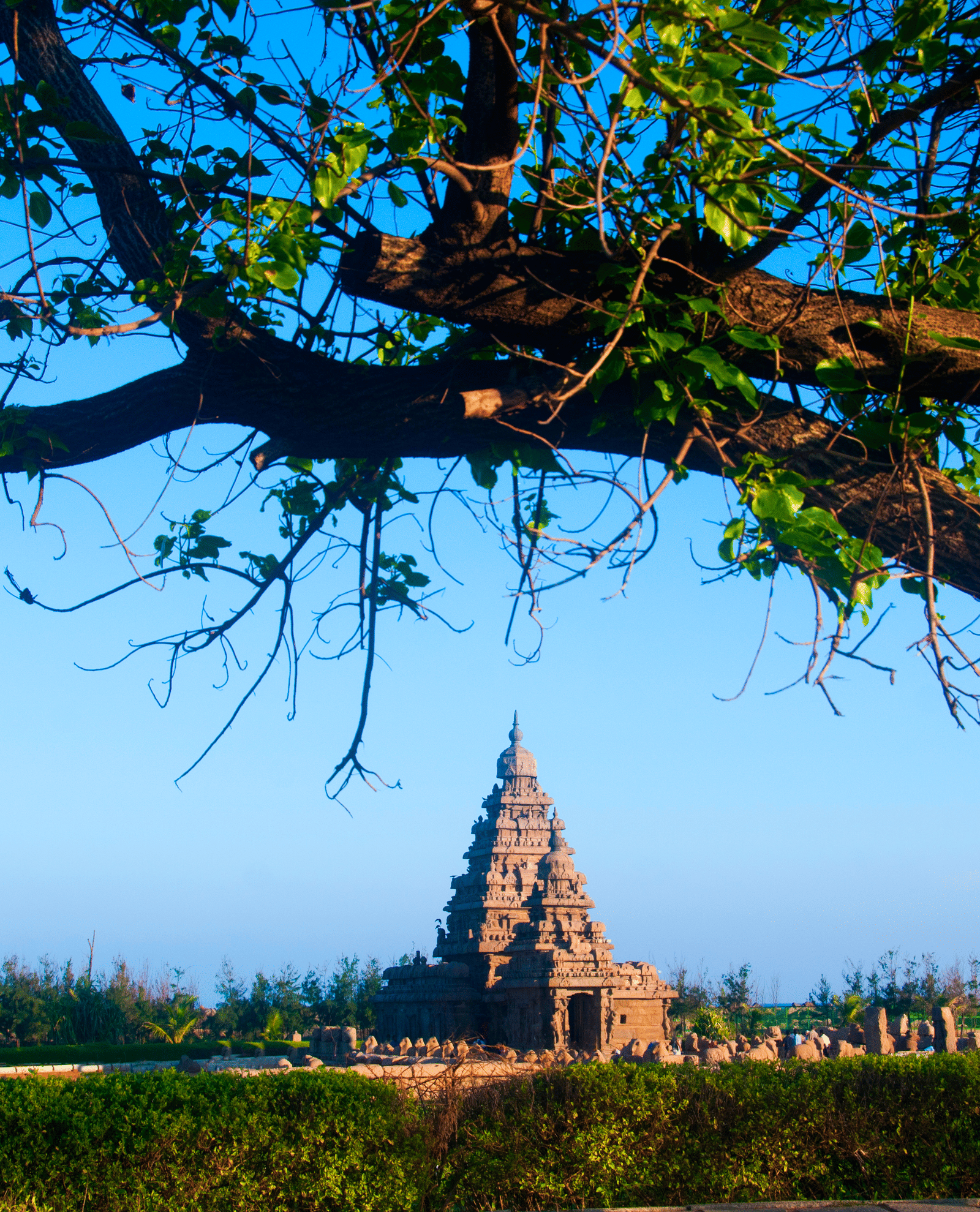 shore-temple-world-heritage-site-in-mahabalipuram-2026-03-09-04-09-58-utc