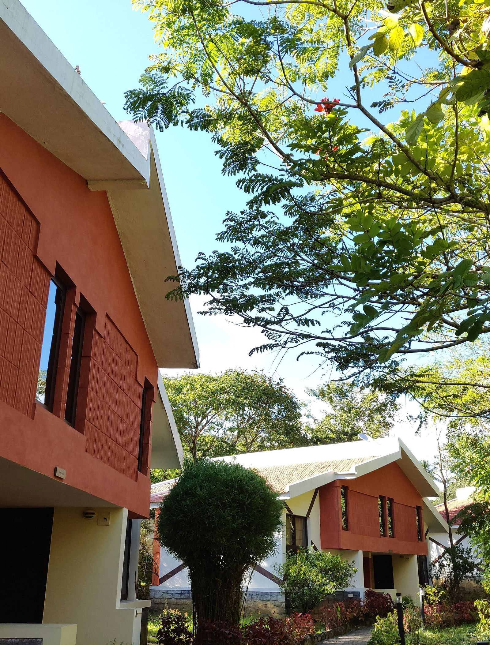 Two-story cottages with orange-red facades and white roofs peek through green foliage under a clear blue sky.
