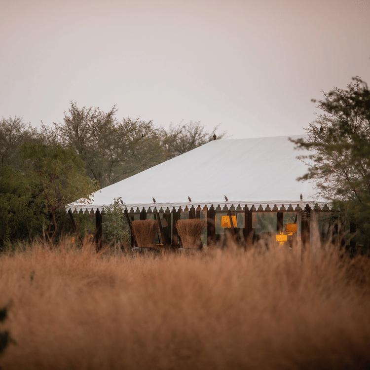 The Blackbuck Lodge - exterior of our lodge captured from a distance amidst the bush